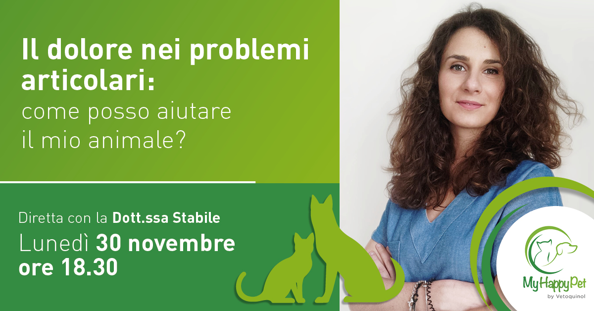 Dubbi sulle malattie articolari del cane? In diretta Facebook approfondimento con il veterinario e le risposte alle vostre domande