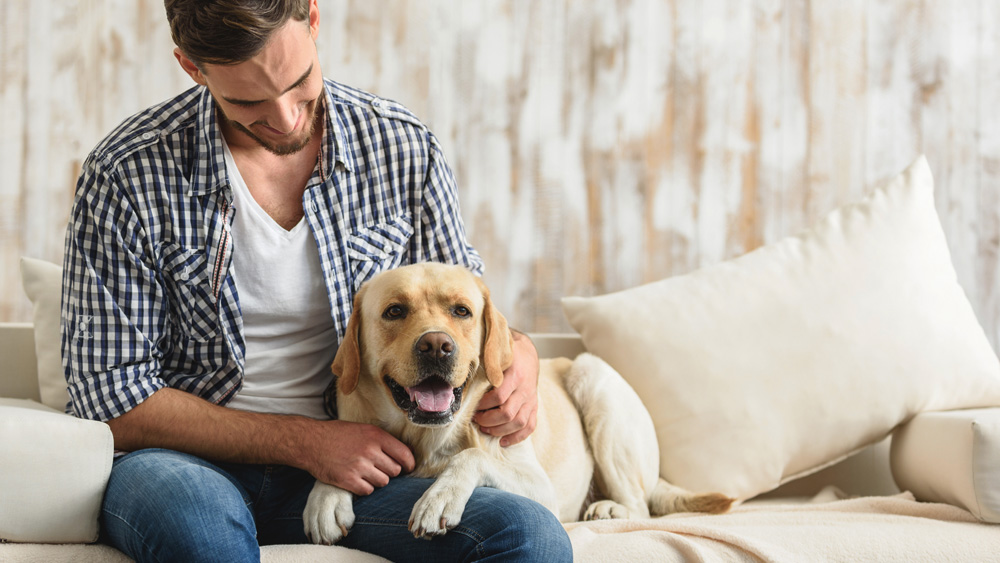 Osteoartrite nel cane: i sintomi per riconoscerla